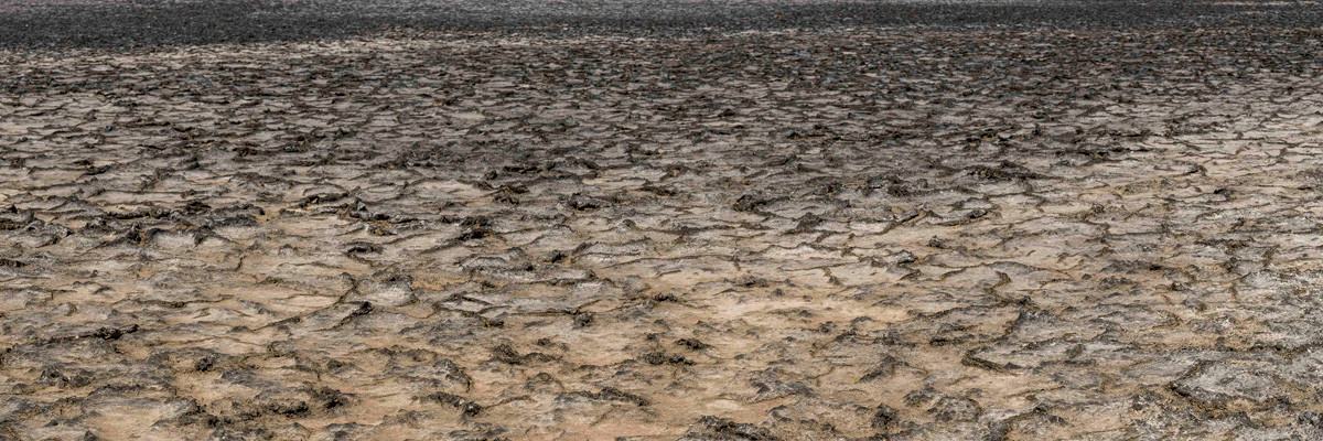 Qatar e-Nature – Ecosystems – Sabkha