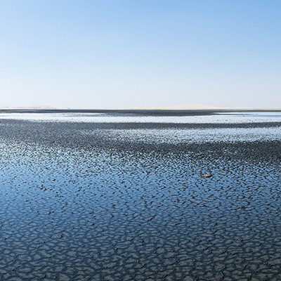 Inter-tidal, Sub-tidal and Beach